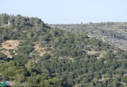 Um Safa reserve 