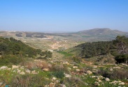 Tayaseer Reserve Trail