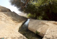 مسار محمية وادي القلط
