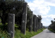 Columns Road
