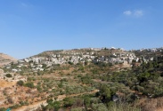Wadi Al-Makhrour – Battir Trail
