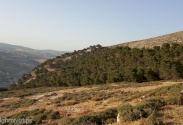 Jabal Al-Kabeer Trail