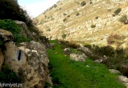 Wadi El-Leymoun - Aboud Trail