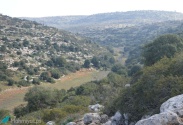 Umm al-Tut Reserve Trail