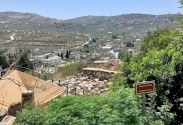 نابلس : جولة ميدانية لإدلاء سياحيين في بلدة سبسطية 
