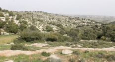 Fahma reserve 