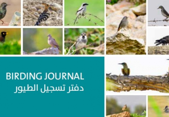 محميات فلسطين" يصدر دفتر علمي لتسجيل الطيور"