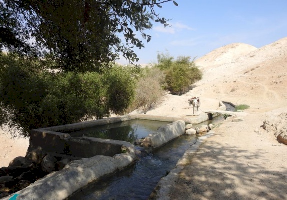 Wadi Qelt Reserve Trail