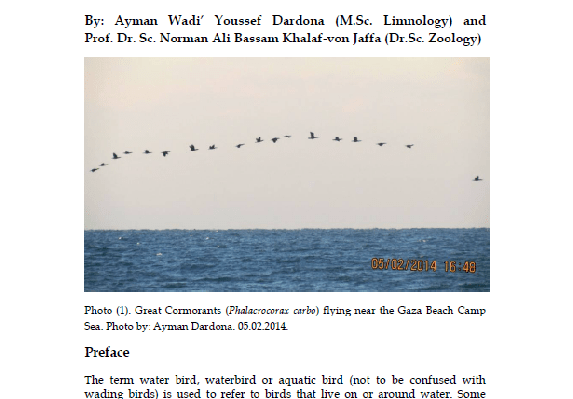 Studying Aquatic Birds in the area between the Gaza Fishermen Port and Wadi Gaza Estuary