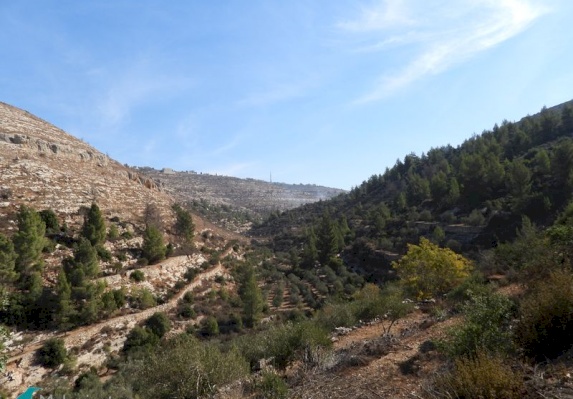 Wadi Al-Makhrour – Battir Trail
