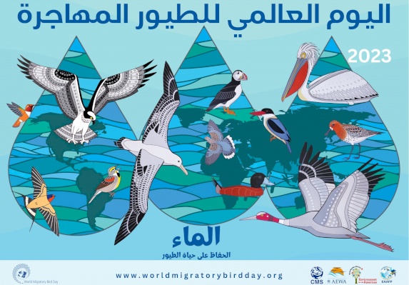 محميات فلسطين: الماء ضروري لاستدامة الطيور المهاجرة
